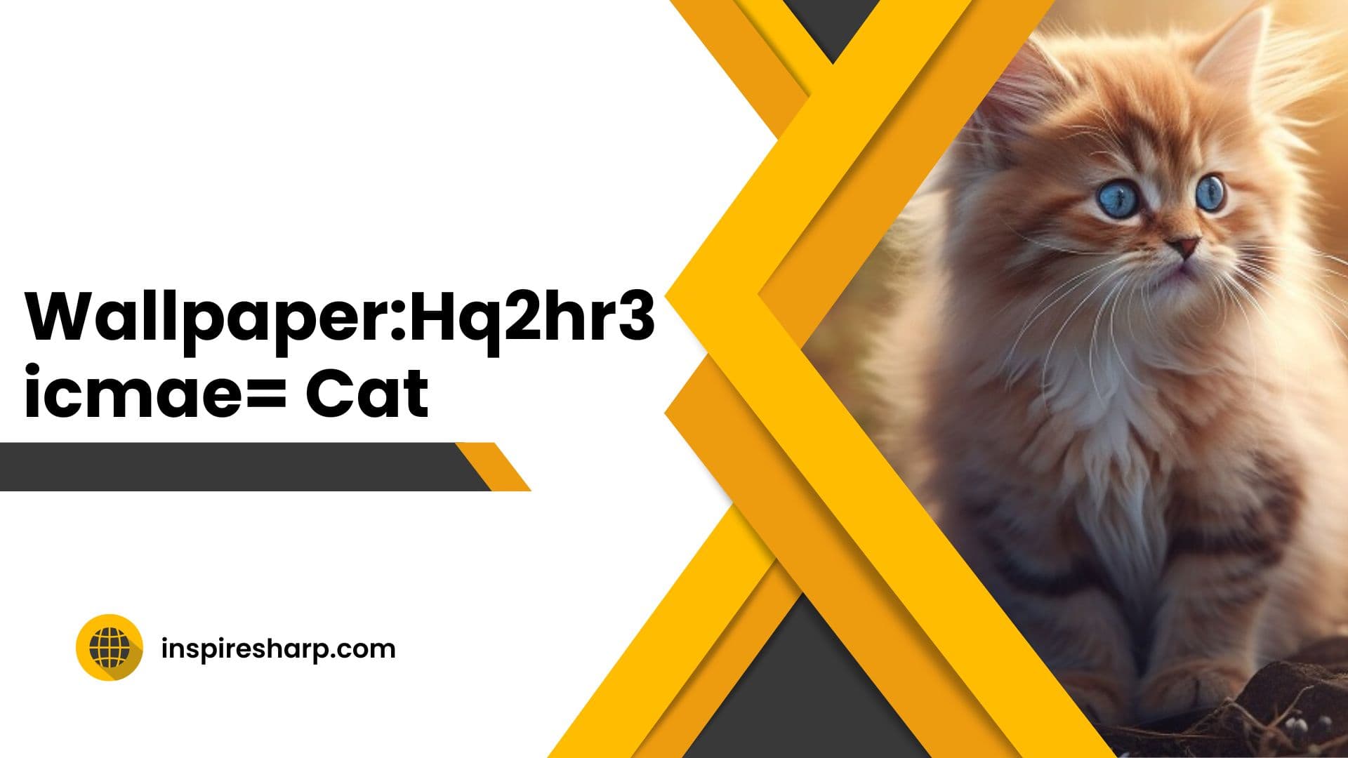 WallpaperHq2hr3icmae= Cat